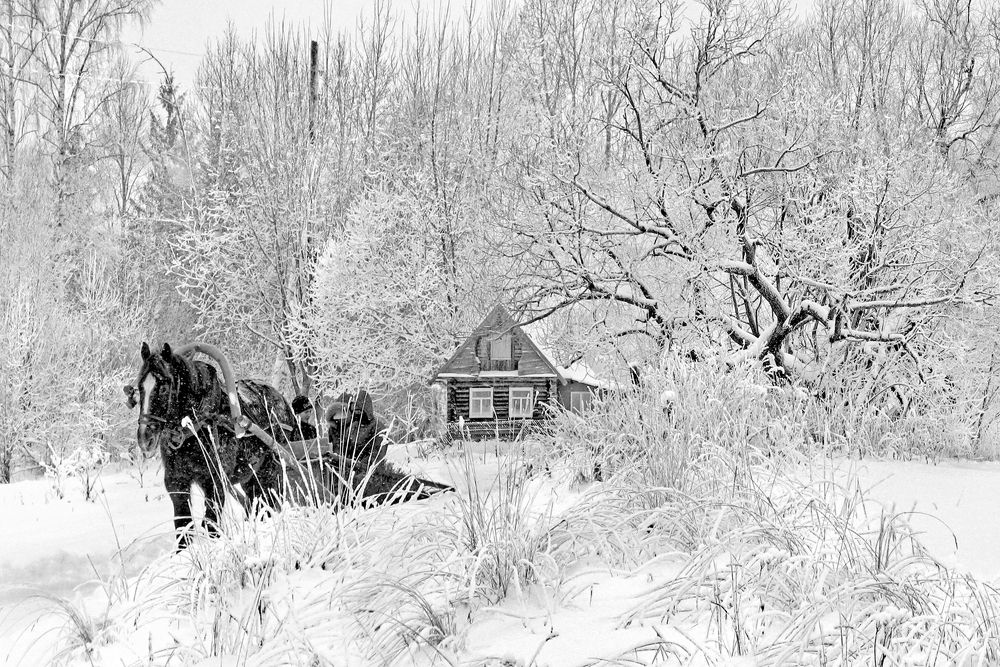 Мохнатый иней