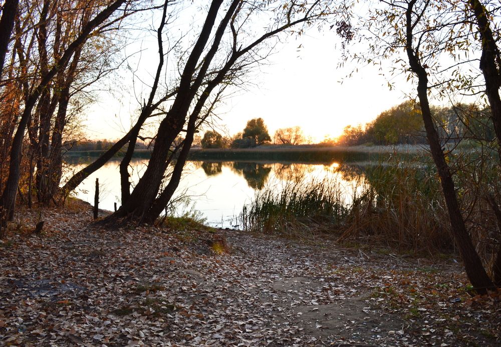 Photograph by Нина Романюк