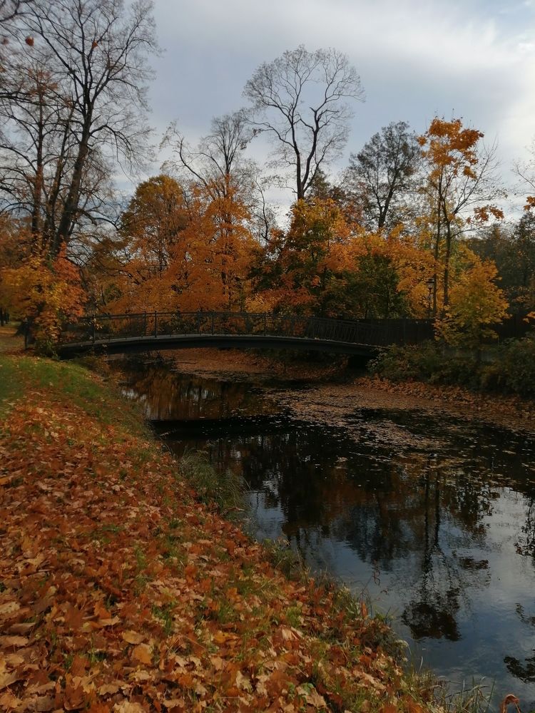 Photograph by Татьяна Лопатина