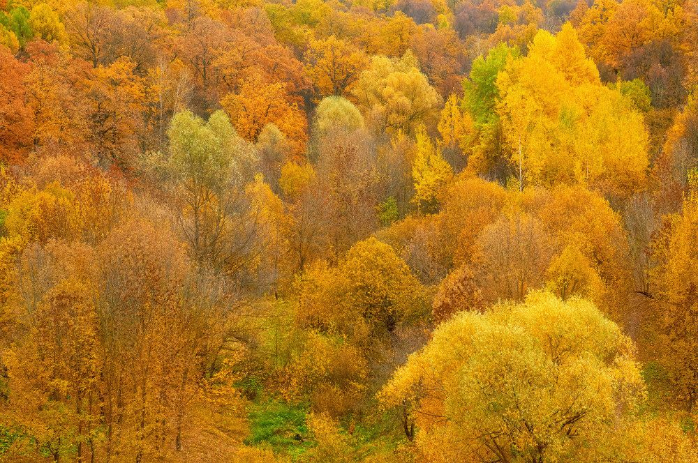 Photograph by Alexander Coin