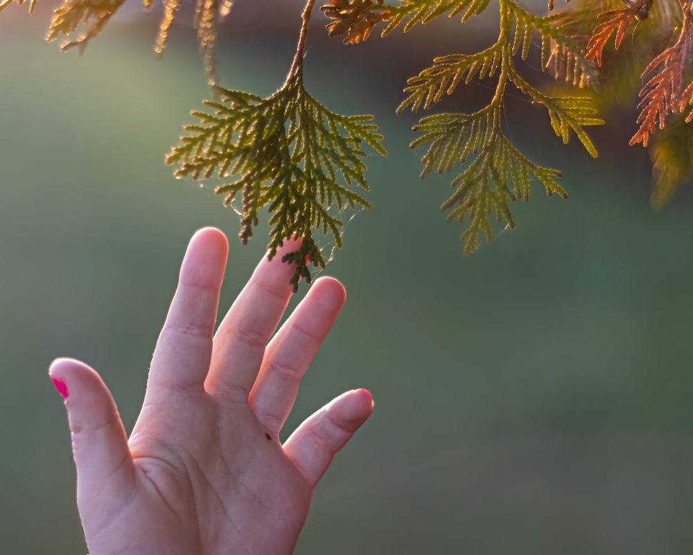 Photograph by Кристина Кудрявцева