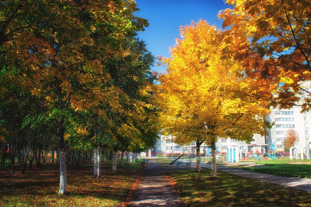 Фотография автора Юлия Кранина