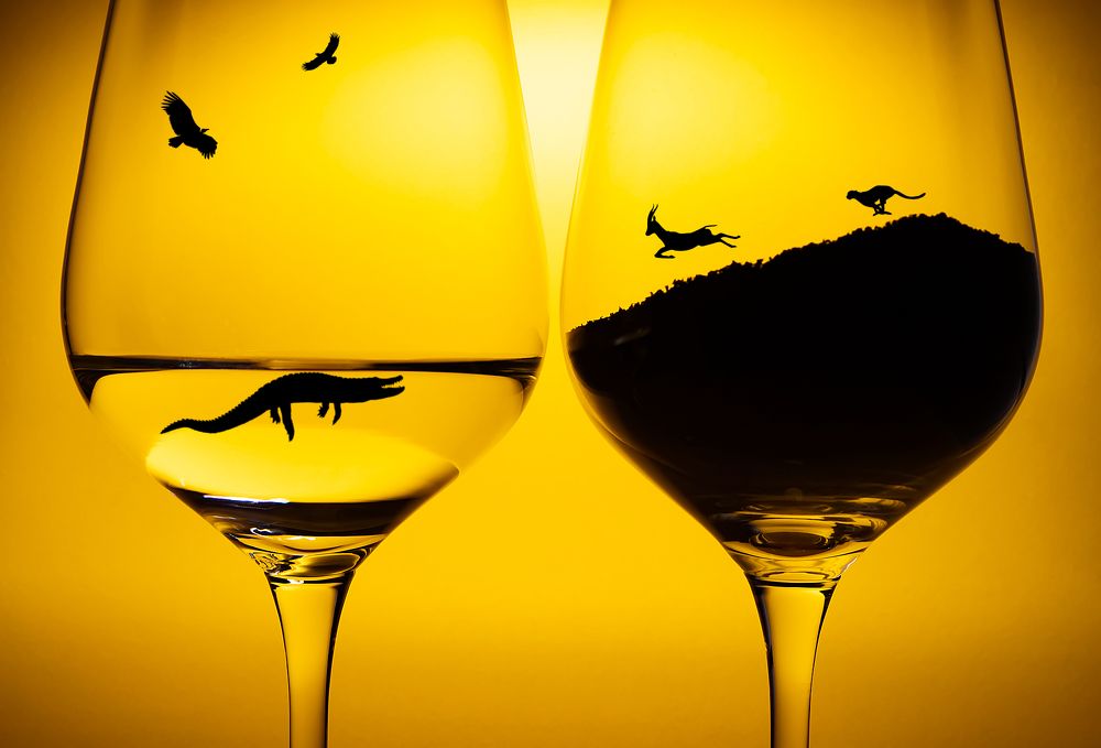 Photograph by Everton Medeiros