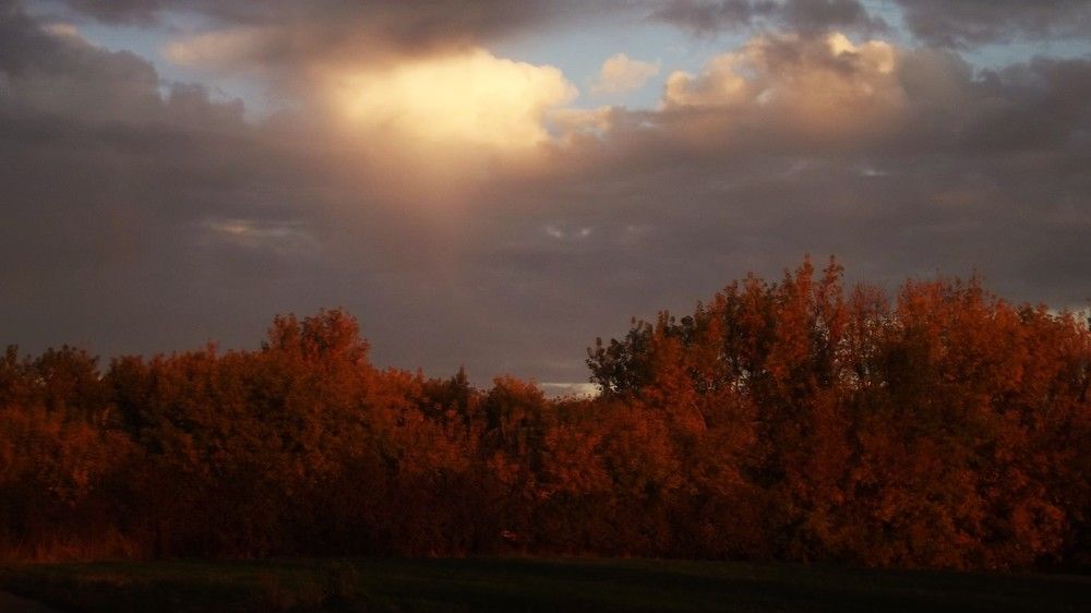 Photograph by Антонина Педько