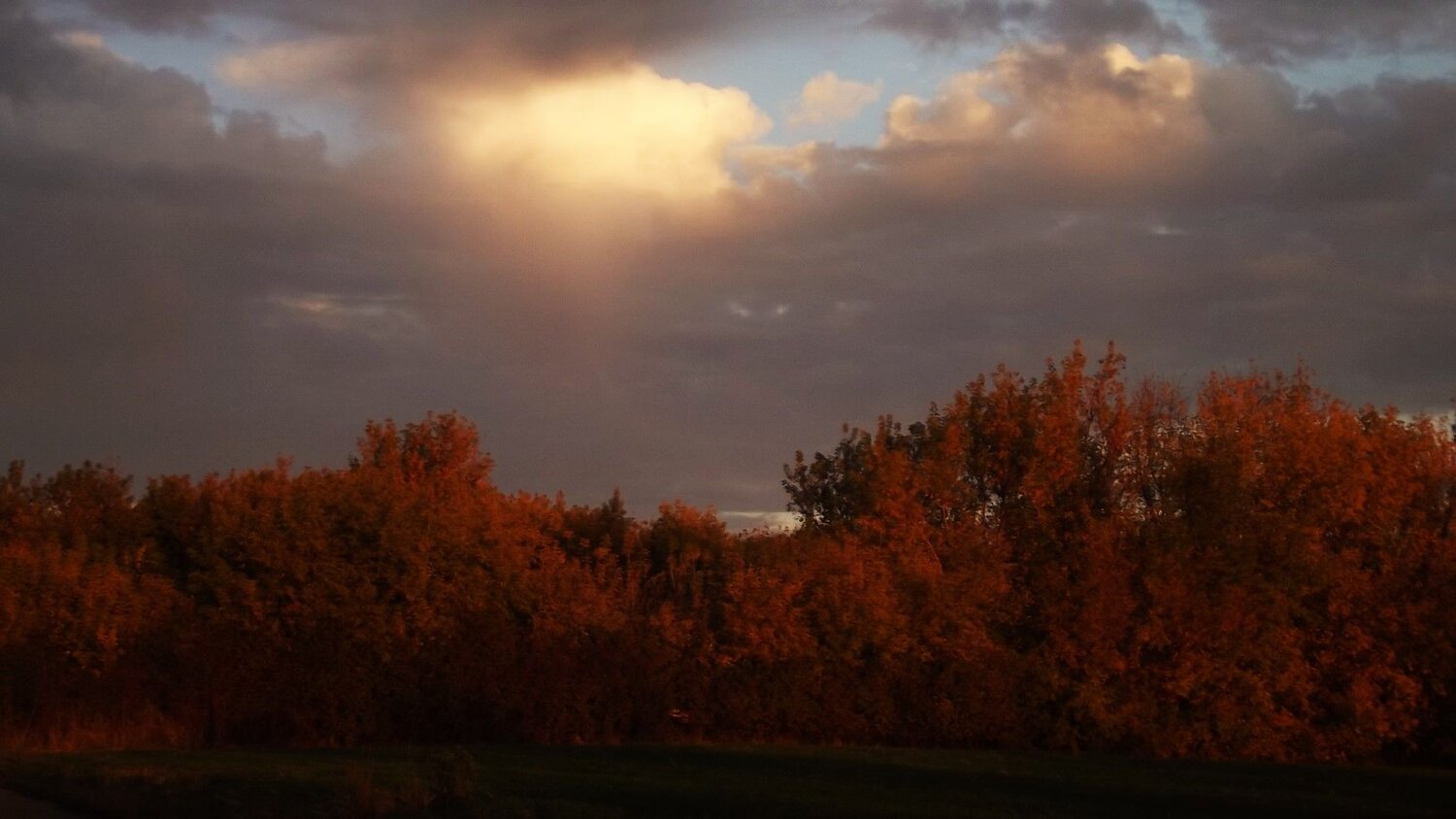 Photo #6601236