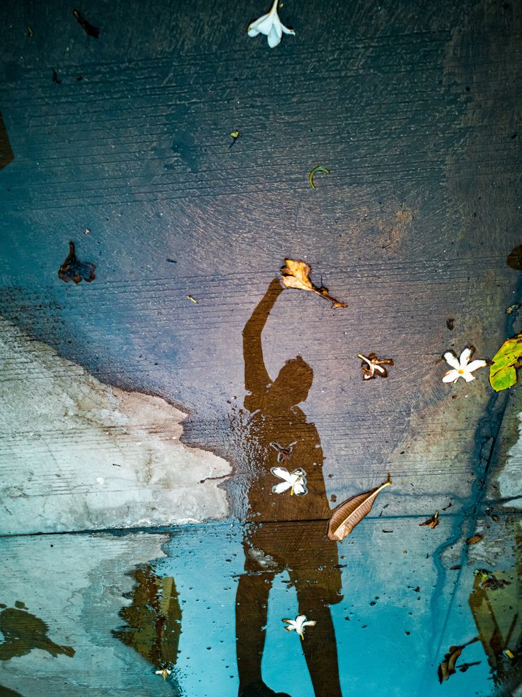 Photograph by Sanjay k.seth