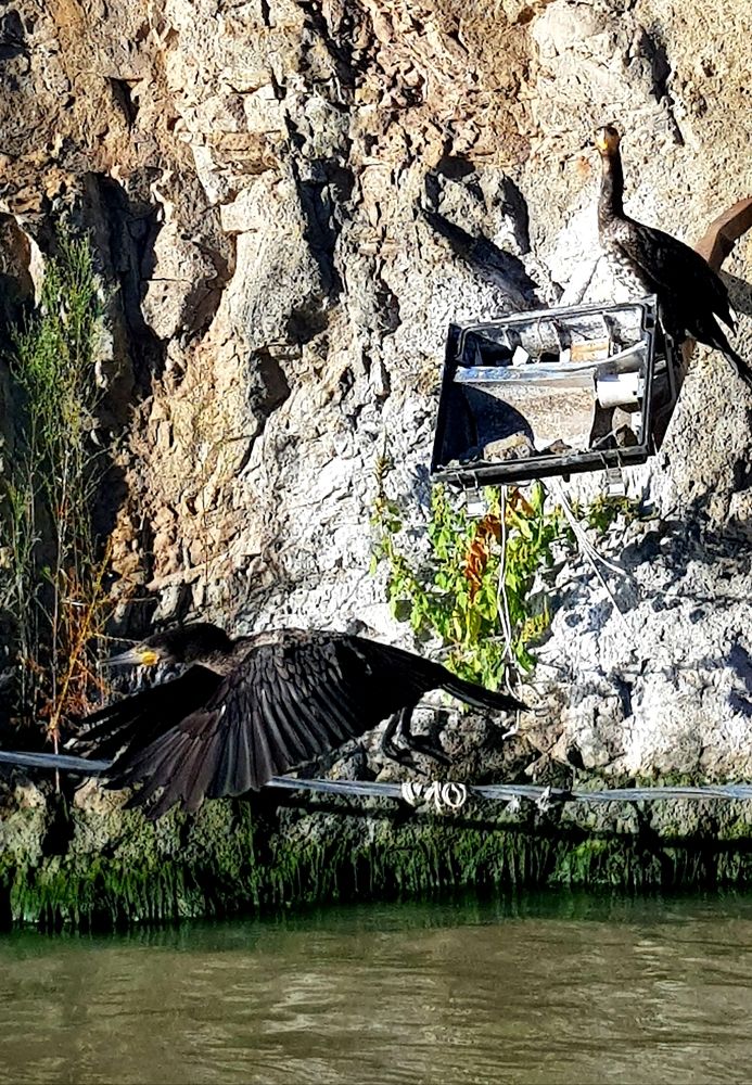Photograph by Мария Белоусова