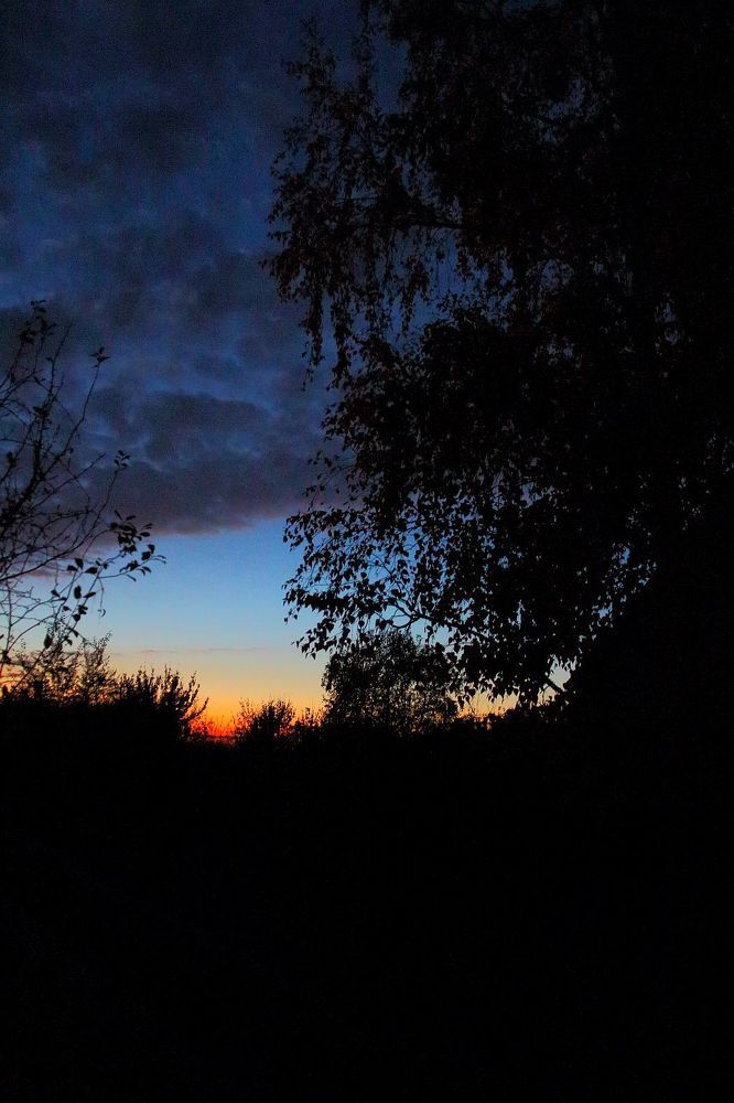 Photograph by 