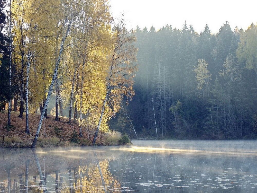 Photograph by Игорь Меньшенин