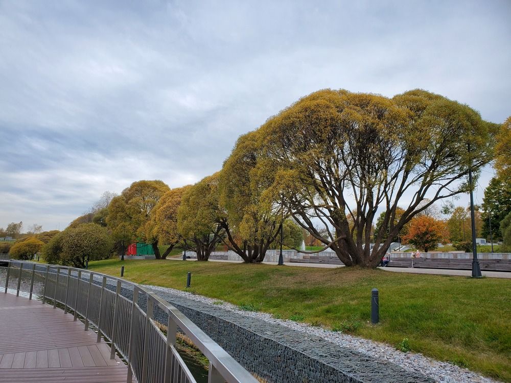 Photograph by Евгения Алексеева