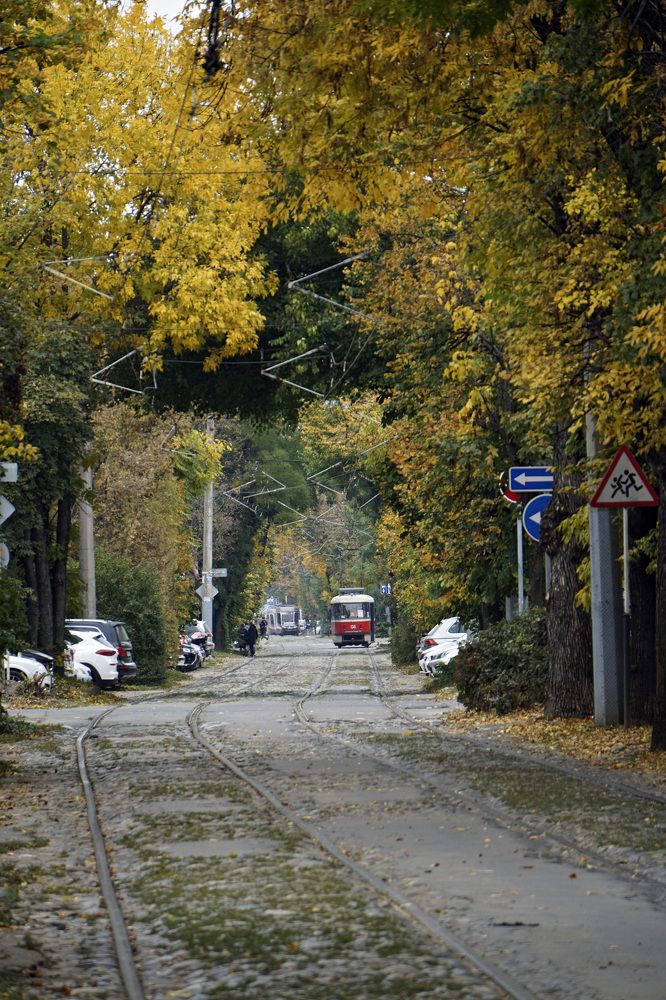 Photograph by Дмитрий Лобанов