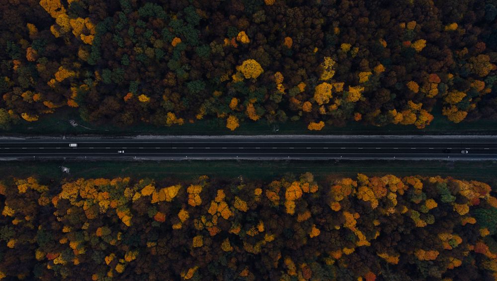 Photograph by Андрей Тяпкин