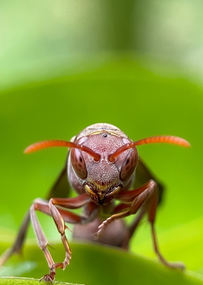 Photograph by Anandu S nair