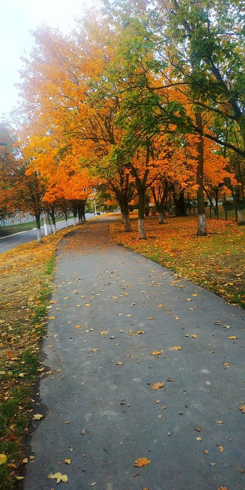 Photograph by Сергей Зиньковский