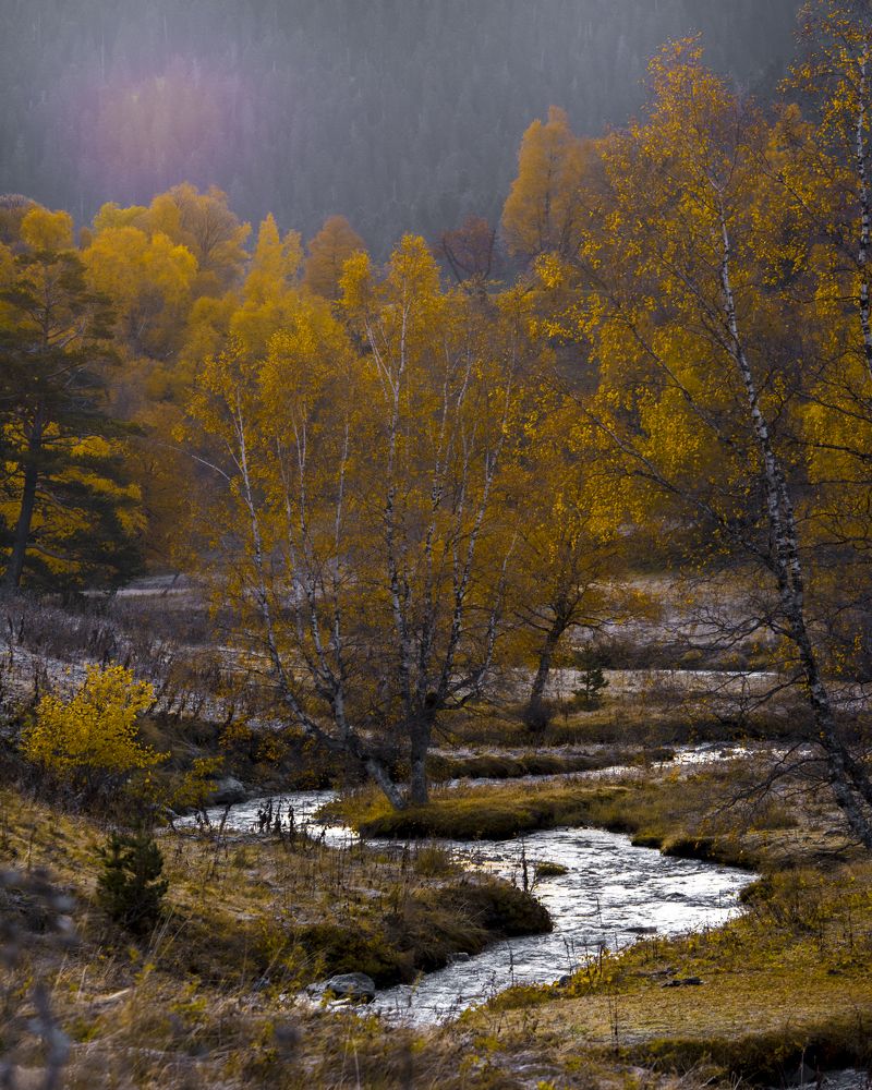 Photograph by Sergey Lexin