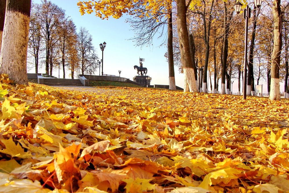 Золотая осень.