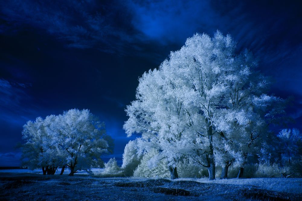 Фотография автора Олег Грачёв