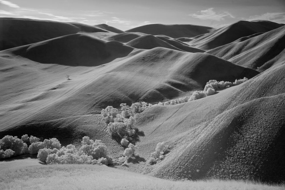 Фотография автора Олег Грачёв