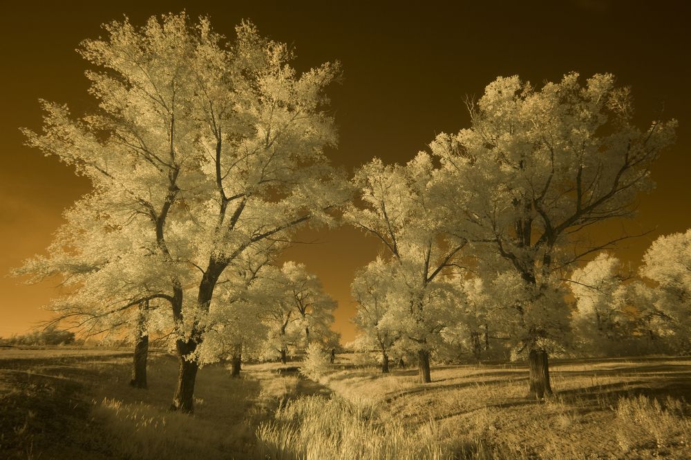 Фотография автора Олег Грачёв