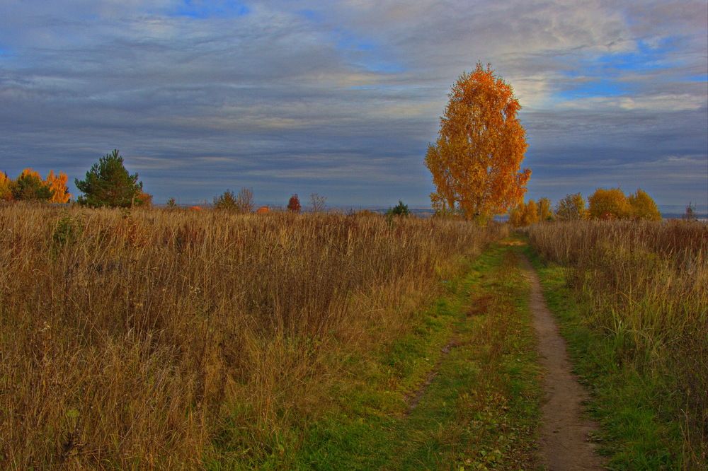 Осенняя пора.