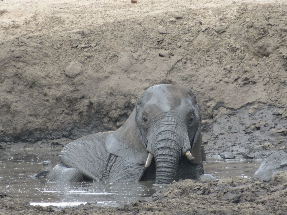 Photograph by Марина Осипова