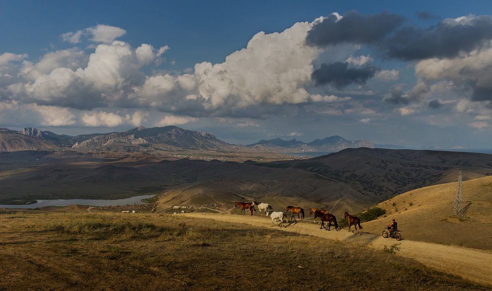 Фотография автора Виталий Смелик
