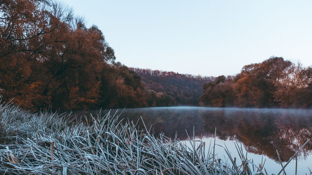 Photograph by Андрей Тяпкин