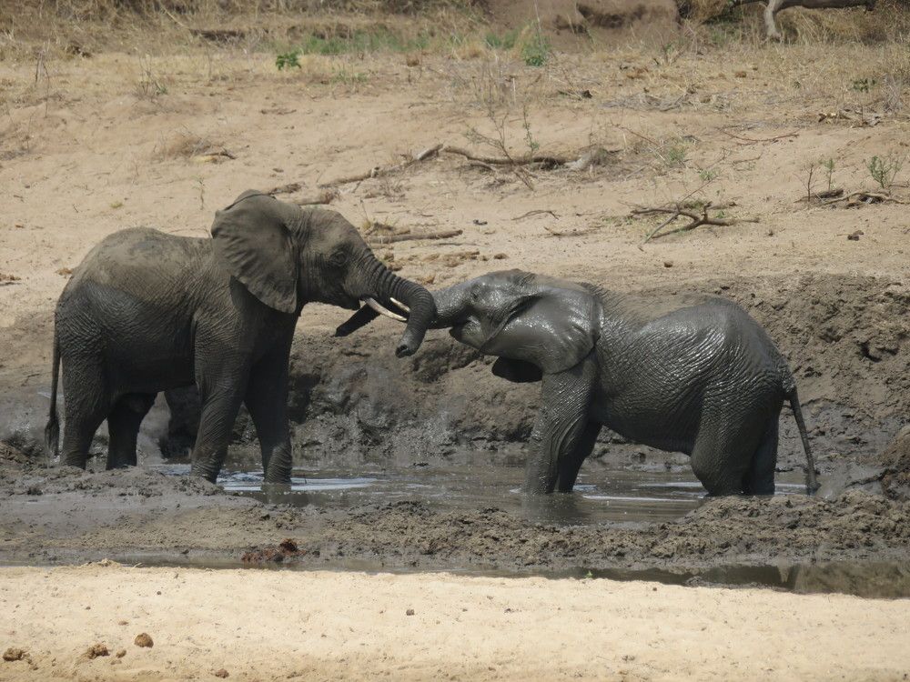 Photograph by Марина Осипова