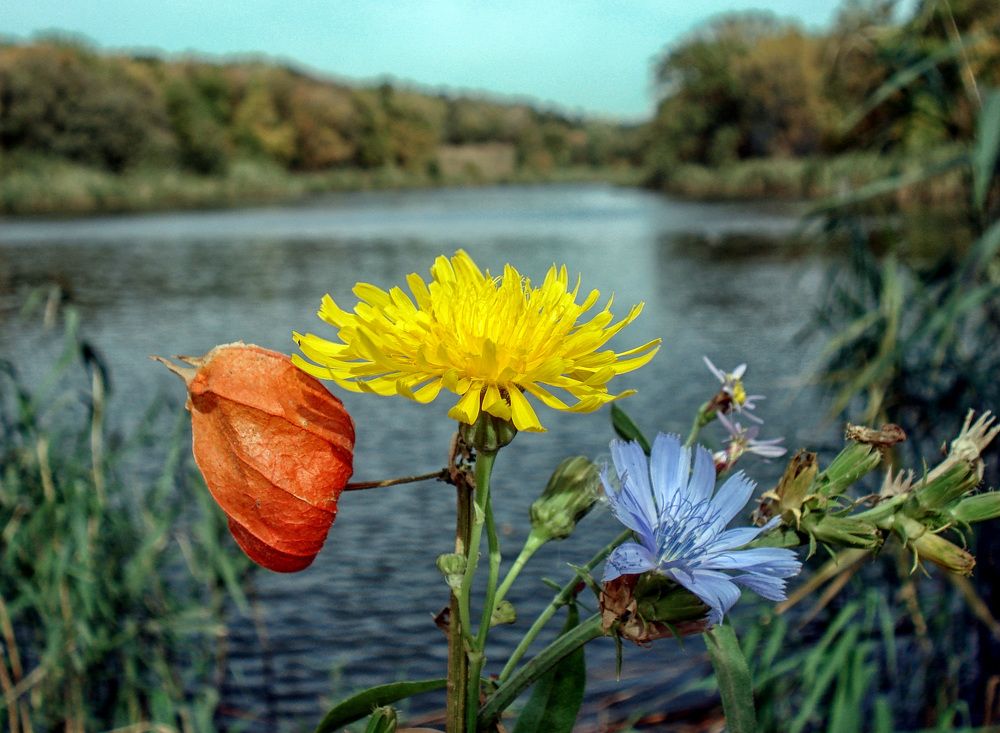Фотография автора София Гавриловна Вотякова