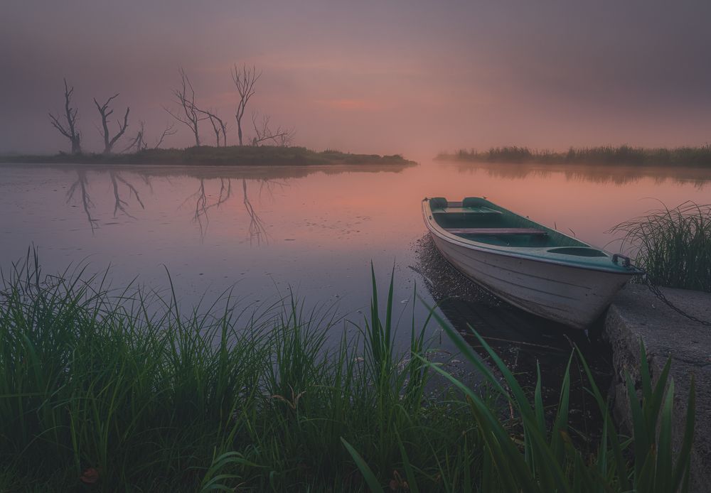 Photograph by Dariusz Budyta