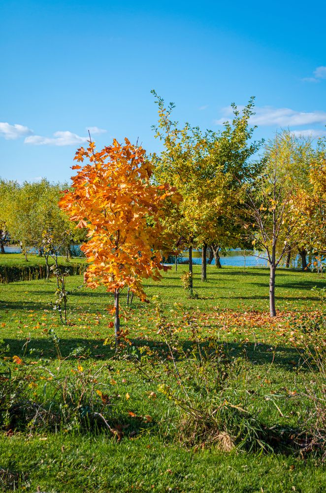 Photograph by Денис Кичев