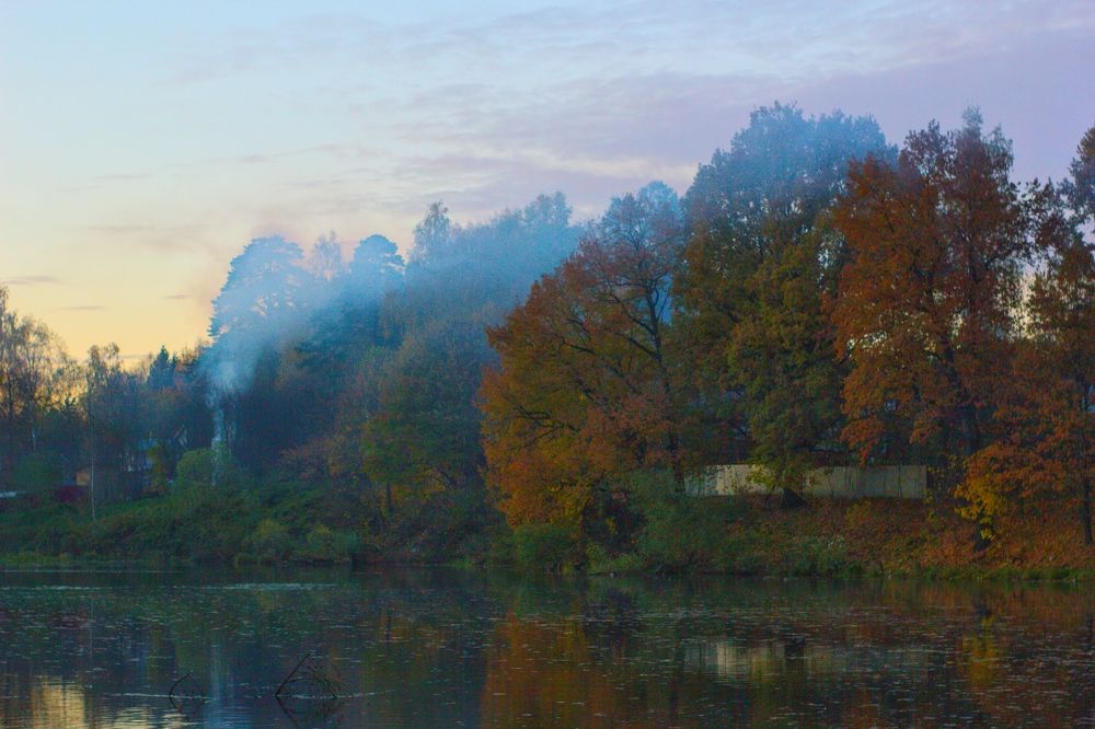 Photograph by Екатерина Амирасланова