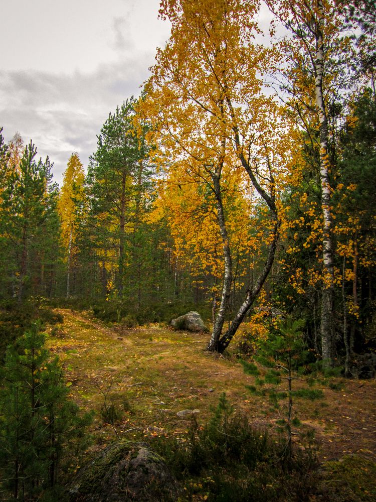 Photograph by Ubare Kelle