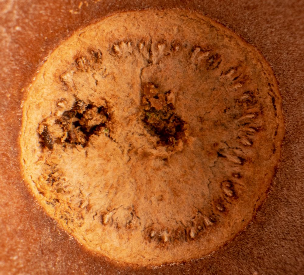 Photograph by Сергей Викулов