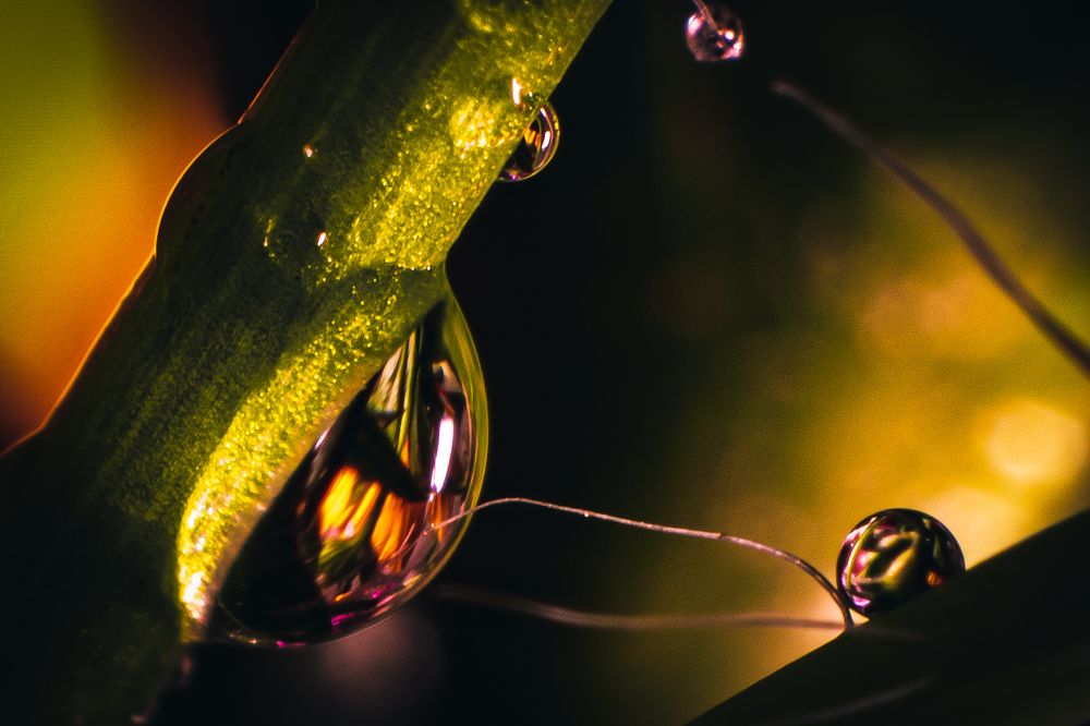 Photograph by Сергей Викулов