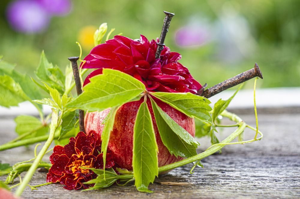 Photograph by Андрей Тарасюк