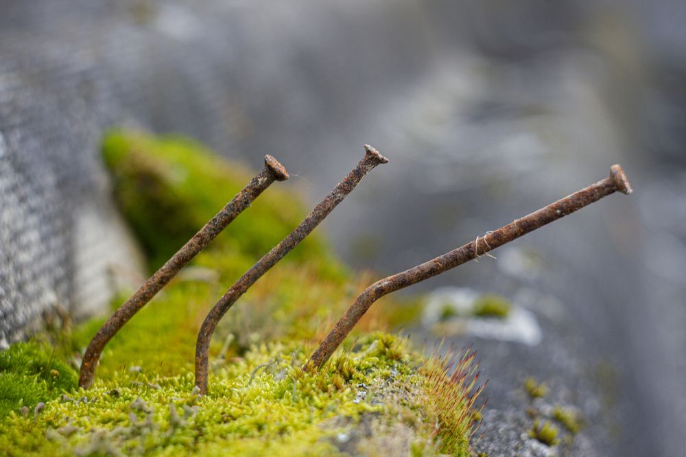 Photograph by Андрей Тарасюк