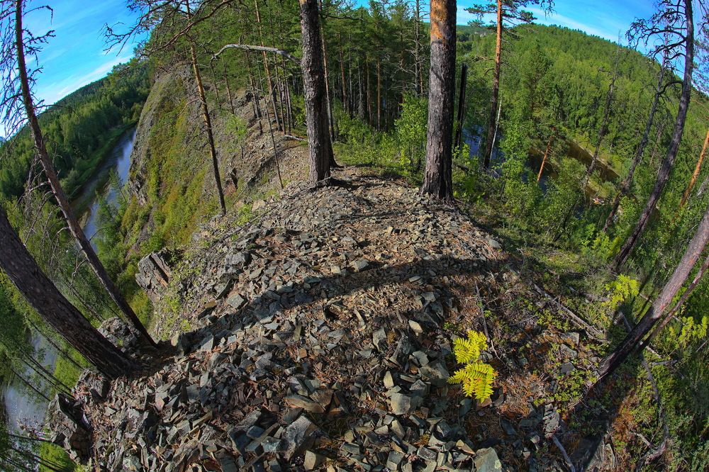 Photograph by Ирина Сушко