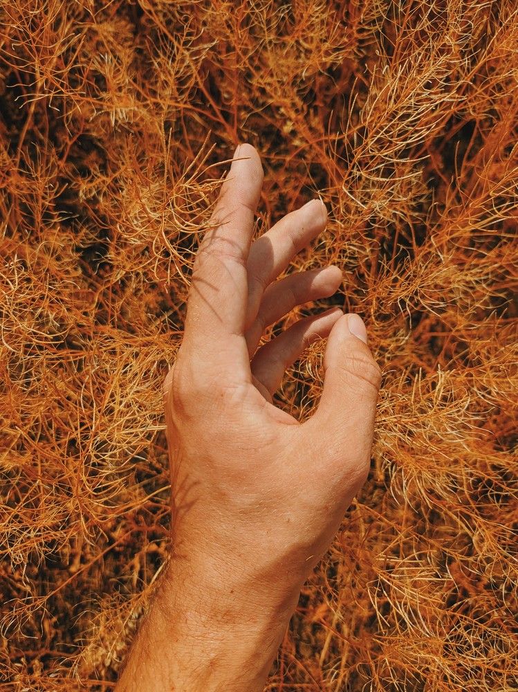 Photograph by Владимир Куликов