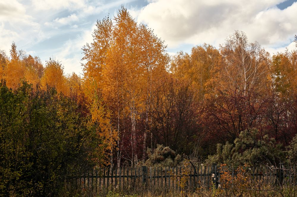 Photograph by Сергей Стукен