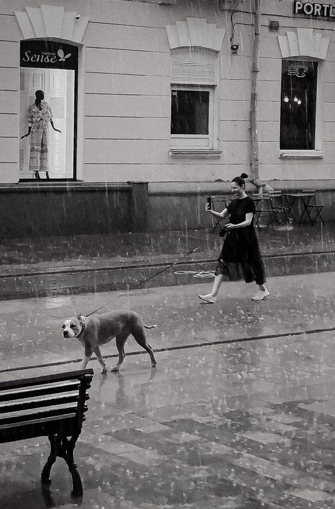 Летний дождь