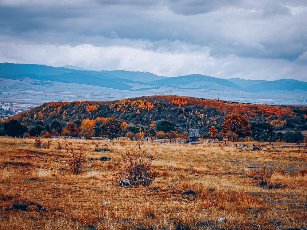 Photo #6601800