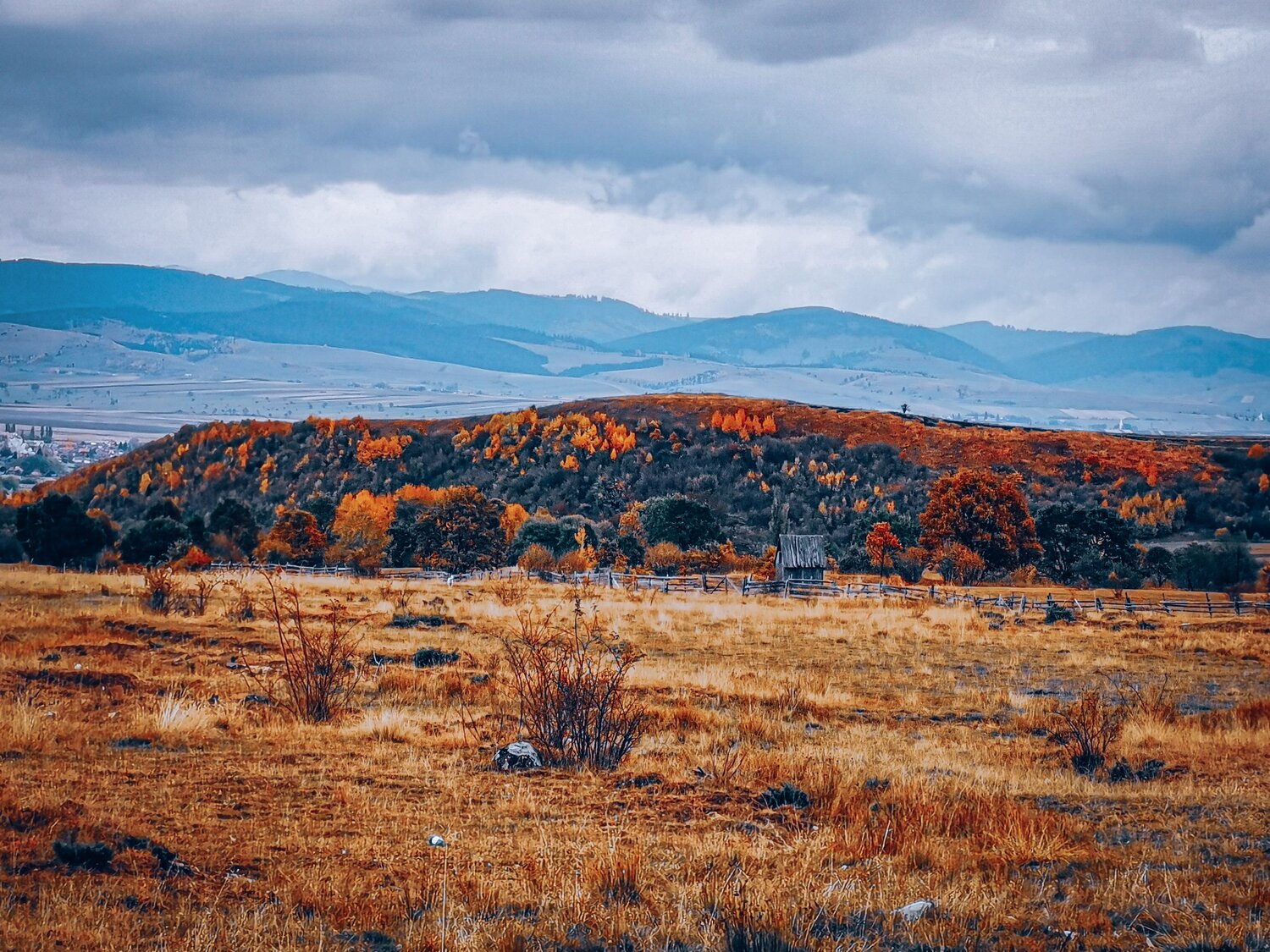 Photo #6601800