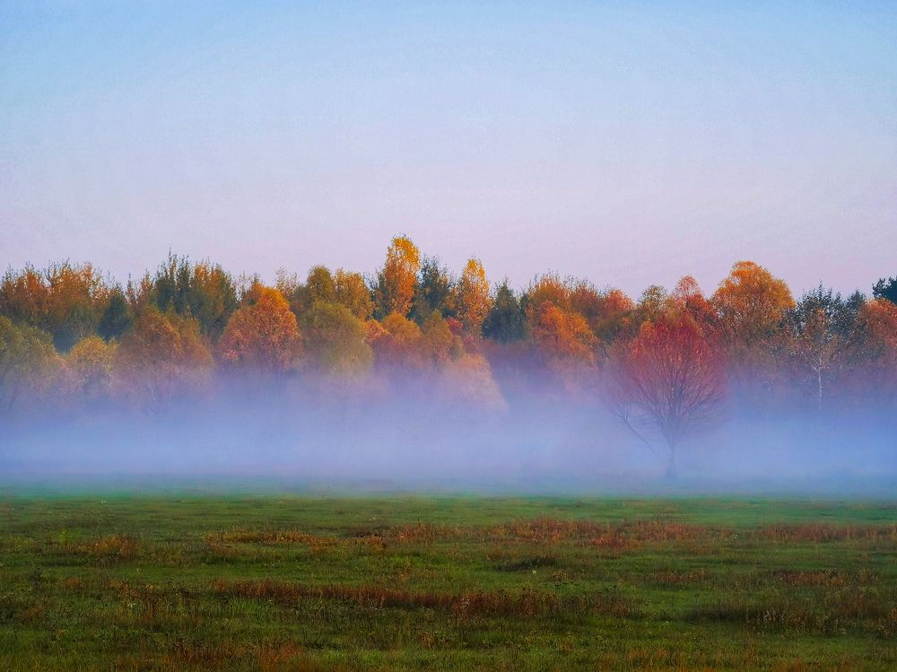 Photograph by Алексей Тарасов