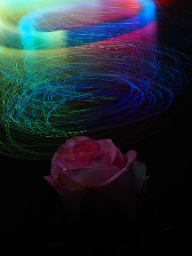 Photograph by Наталья