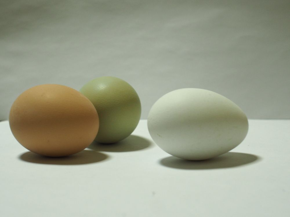 Photograph by Наталья