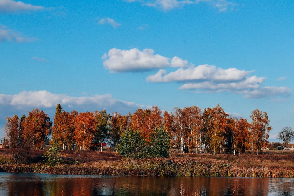 Фотография автора Daria CappuccinKo