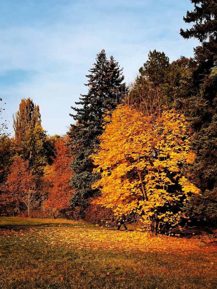 Photograph by людмила