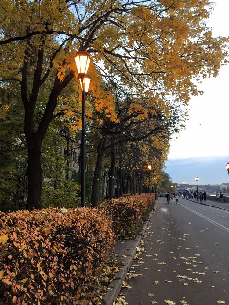 Вечерняя набережная