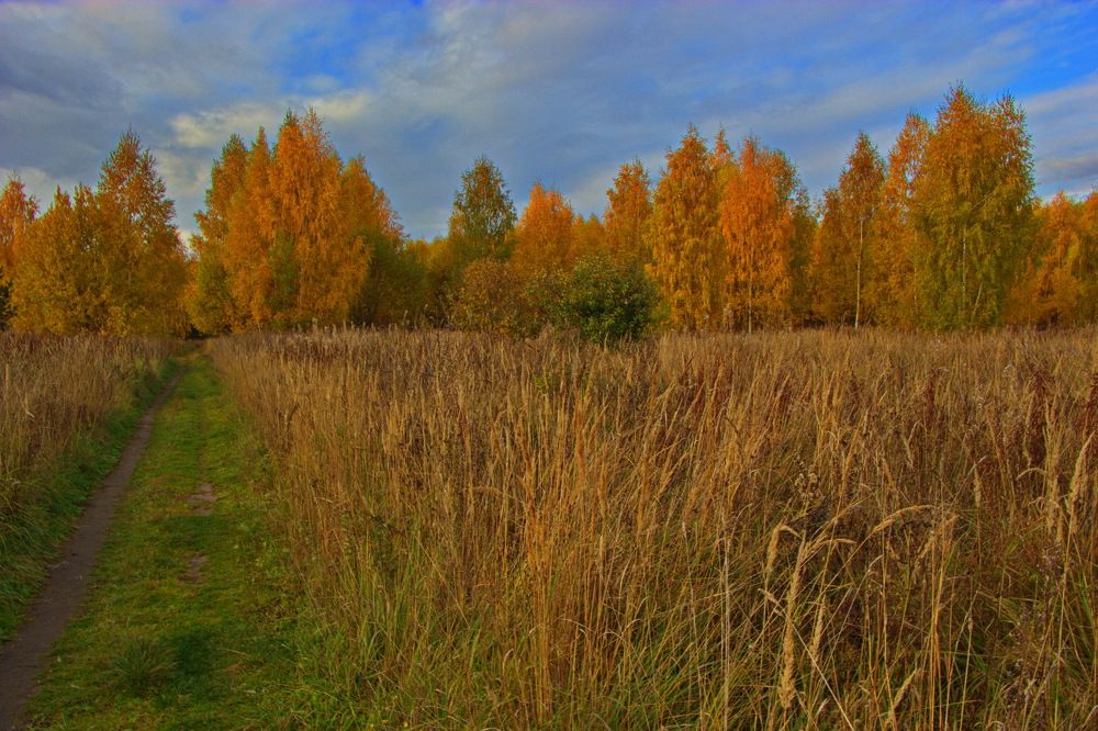 Золотая осень.